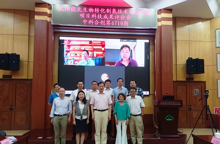 1672711494479 太阳能微藻产氢创新研究 anli