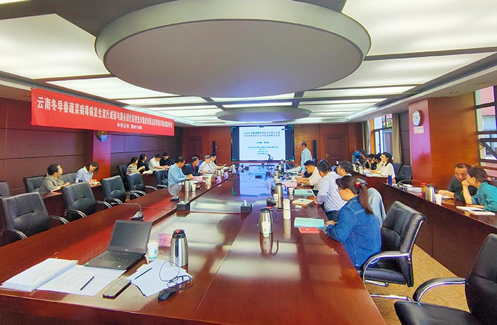 1683711132452 云南冬早春蔬菜病毒病发生流行成因与源头绿色防控技术集成创新及应用 anli
