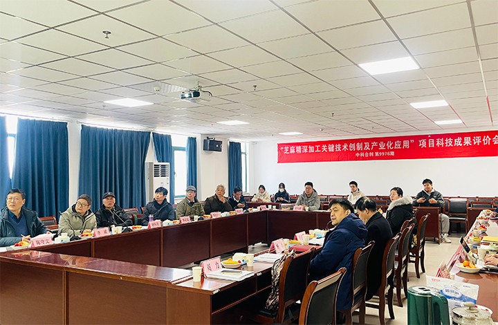 1708927941087 科技成果评价
