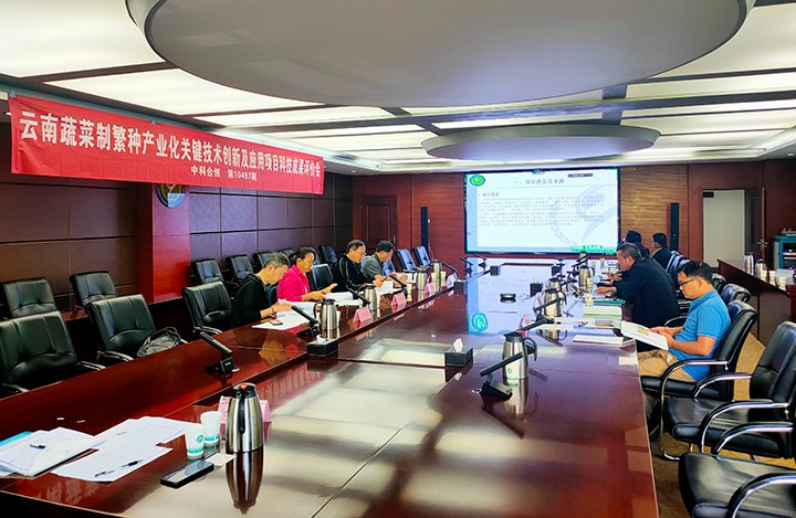 1715324342343 科技成果评价
