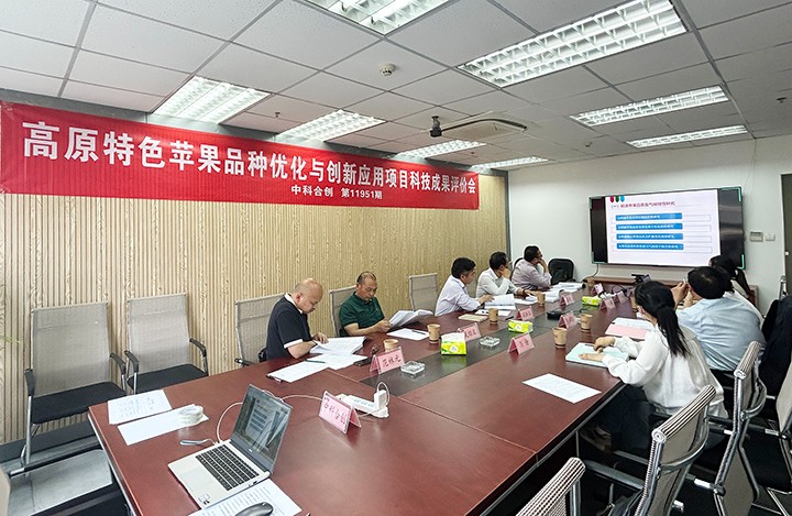 1745906008639 科技成果评价