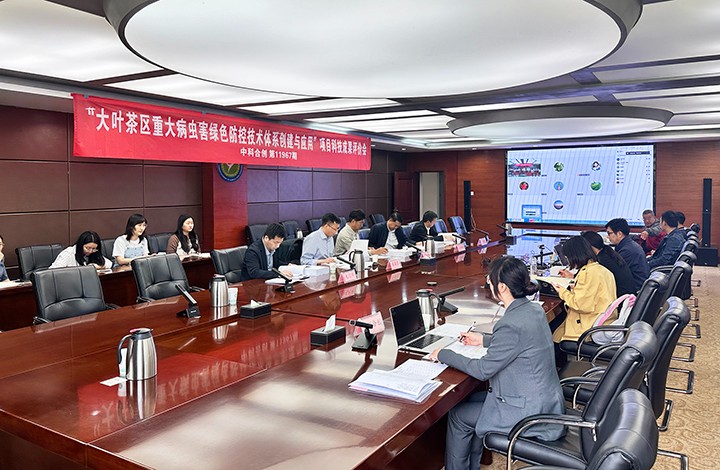 科技成果评价