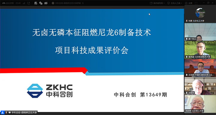 1776931905388 无卤无磷本征阻燃尼龙6制备技术 xiao