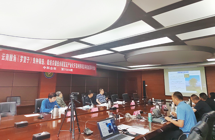 云南酸角(罗望子)良种筛选、栽培关键技术研发及产业化开发利用 anli.jpg