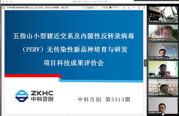 五指山小型猪近交系及内源性反转录病毒(PERV)无传染性新品种培育与研发1 anli.jpg