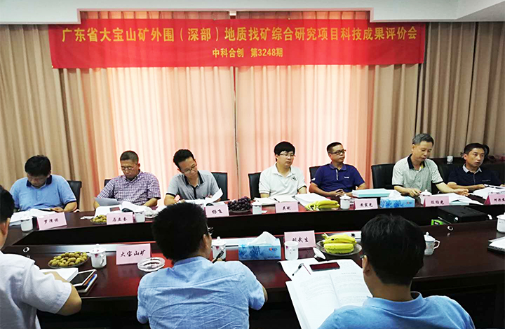 广东省大宝山矿外围(深部)地质找矿综合研究 anli.jpg