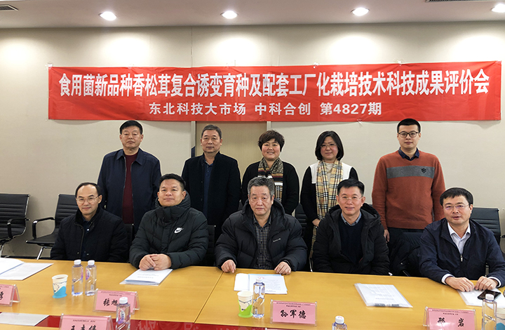 食用菌新品种'香松茸一号'选育及工厂化栽培技术研究与应用 anli.jpg