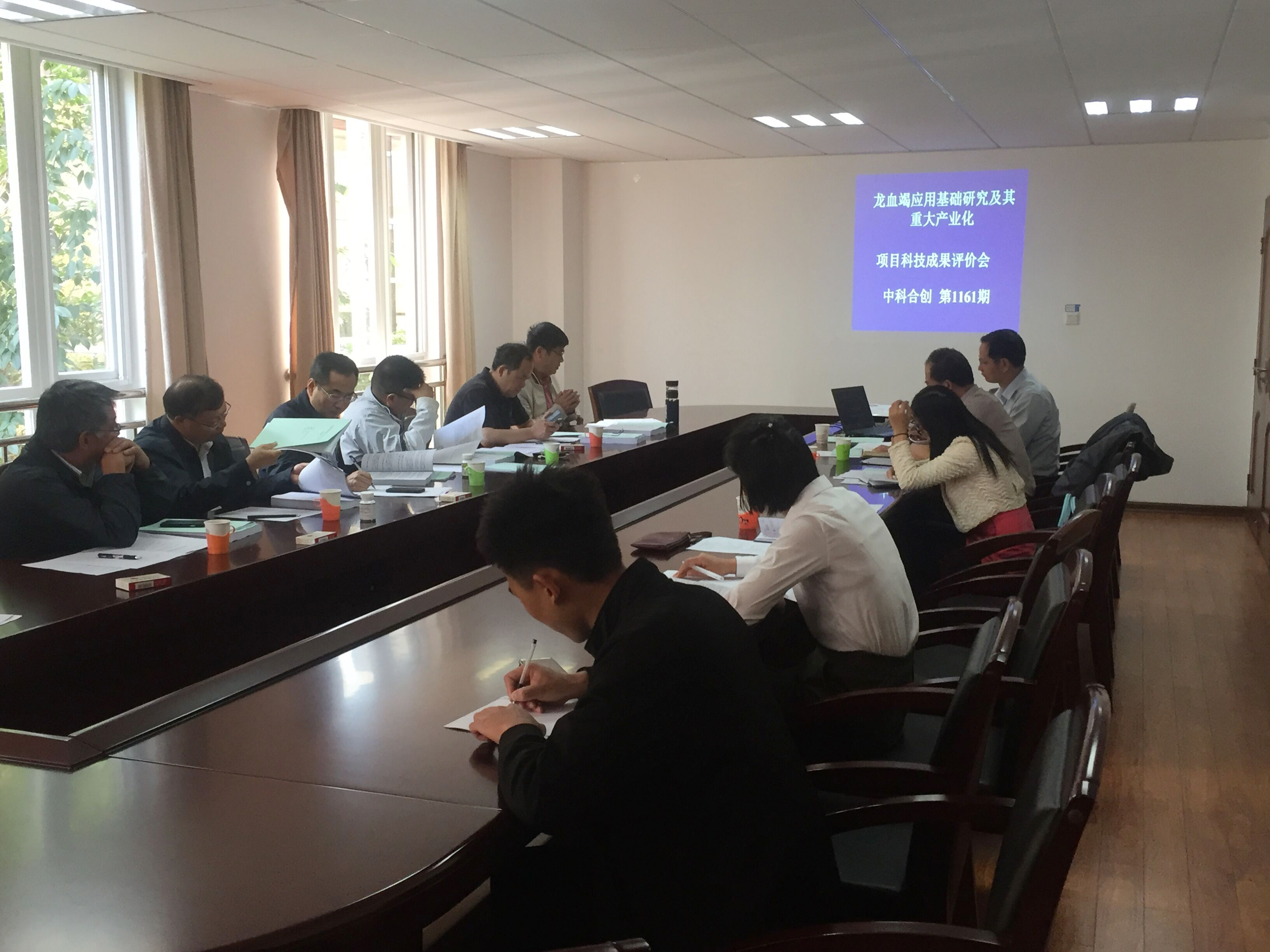 龙血竭应用基础研究及其重大产业化.jpg 龙血竭应用基础研究及其重大产业化.jpg