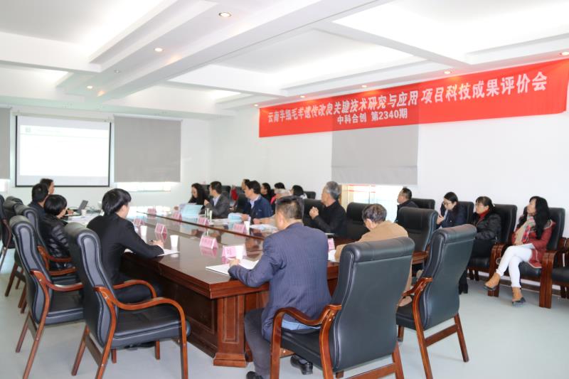 云南3.jpg
